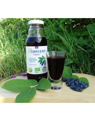 Sok BIO certyfikowany z jagody kamczackiej BIOHASKAP Vitality +. Źródło potasu. Best New Product BIOFACH 2019