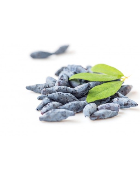 3 x Sok BIO certyfikowany z jagody kamczackiej BIOHASKAP Vitality +. Źródło potasu. Best New Product BIOFACH 2019 3 x Sok BIO certyfikowany z jagody kamczackiej BIOHASKAP Vitality +. Źródło potasu. Best New Product BIOFACH 2019